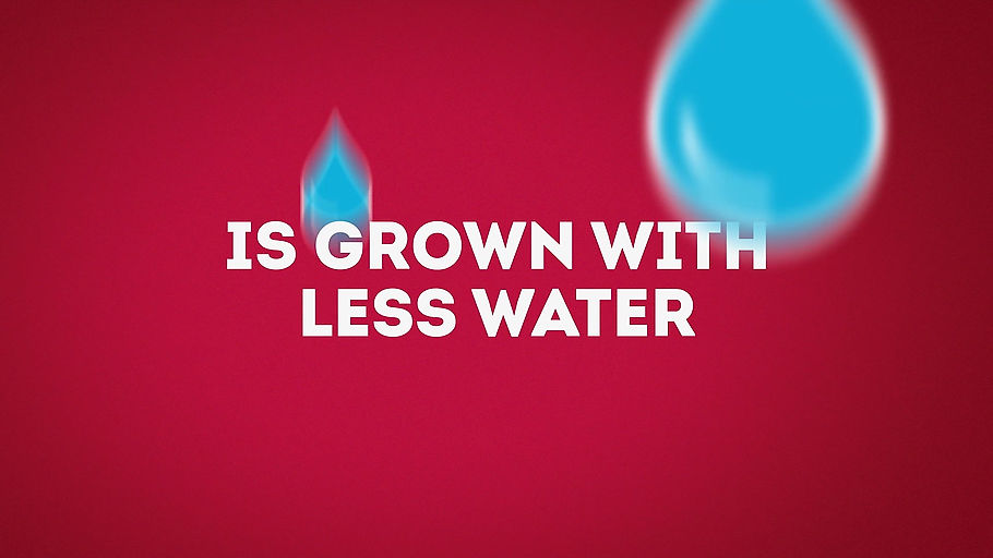 Wendy's "Grown With Love - Less Water"